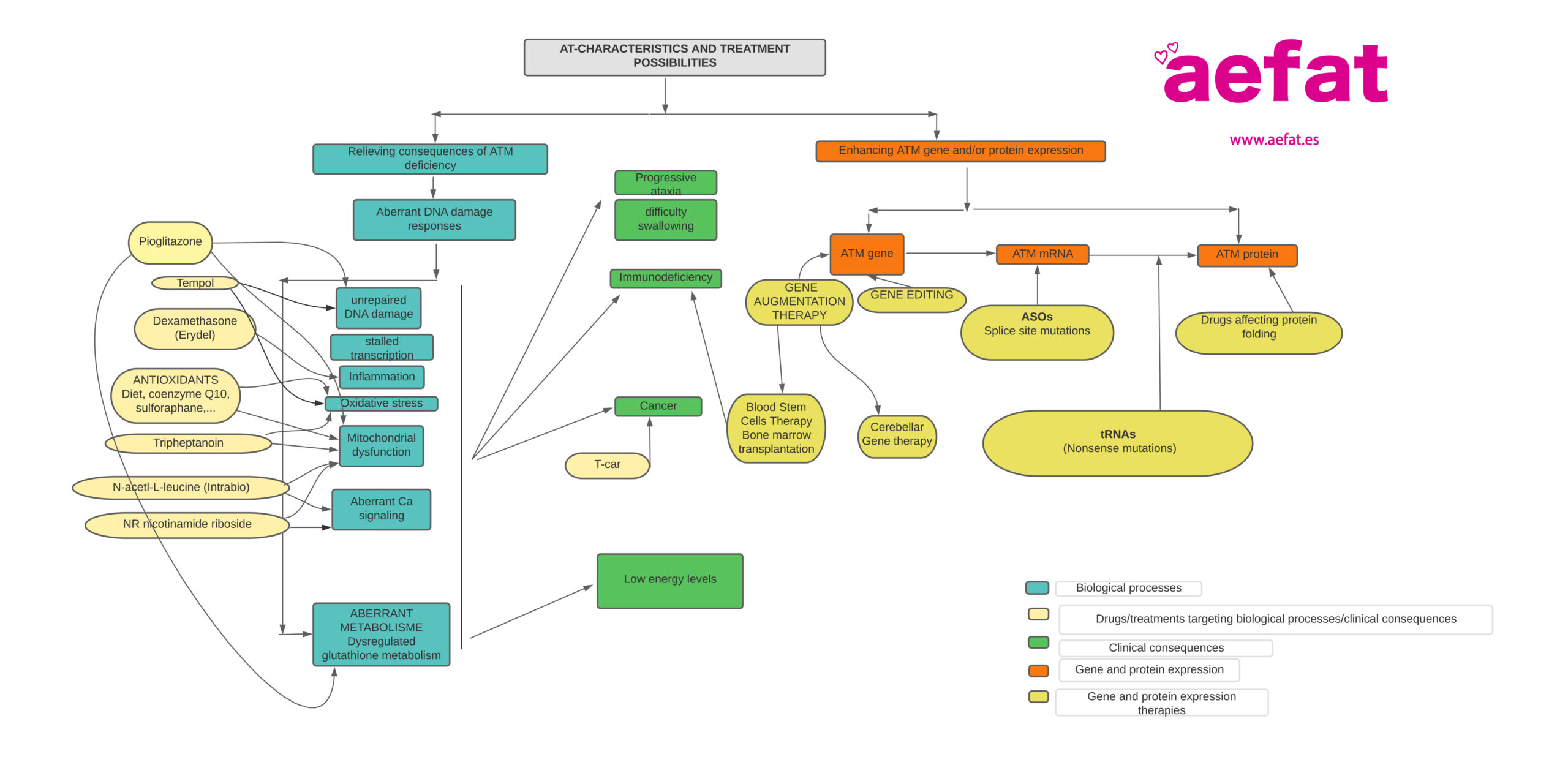 AT TREATMENT POSSIBILITIES última versión 17 01 24