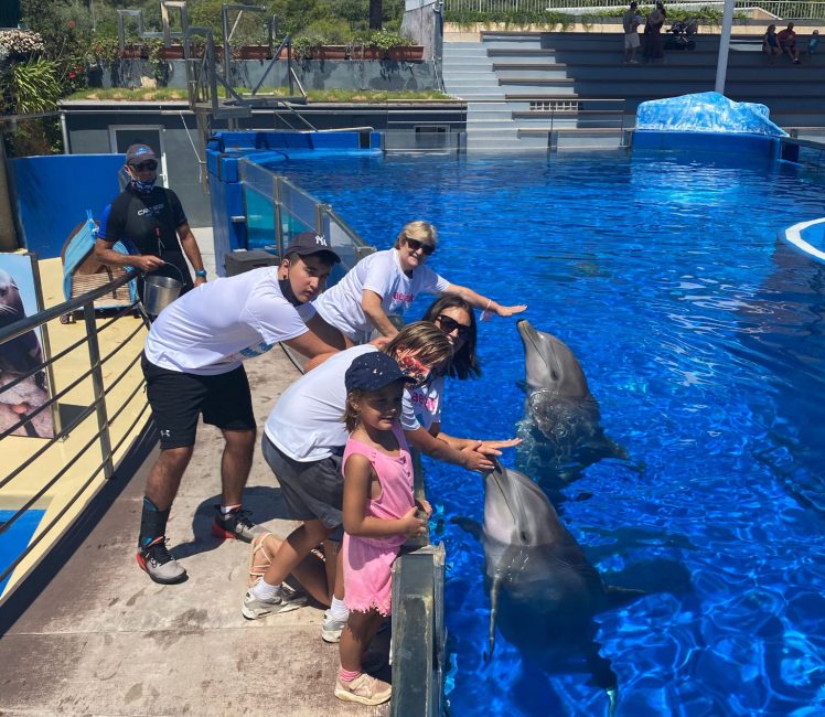 Delfinario4
